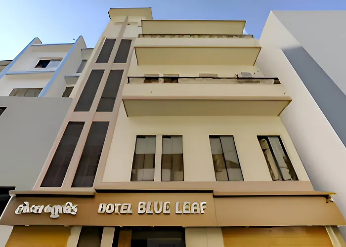 Hotel Blue Leaf